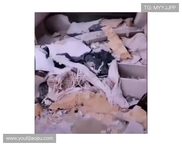 五场五球罗马欲买断马伦成核心